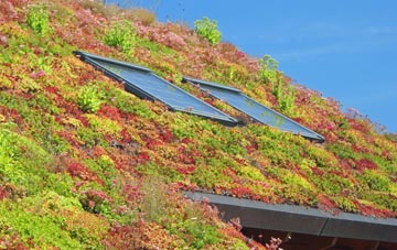 Mill Brow living roof systems