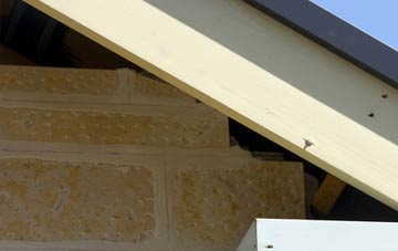 soffit repair Mill Brow