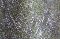 Mill Brow fibreglass roof work